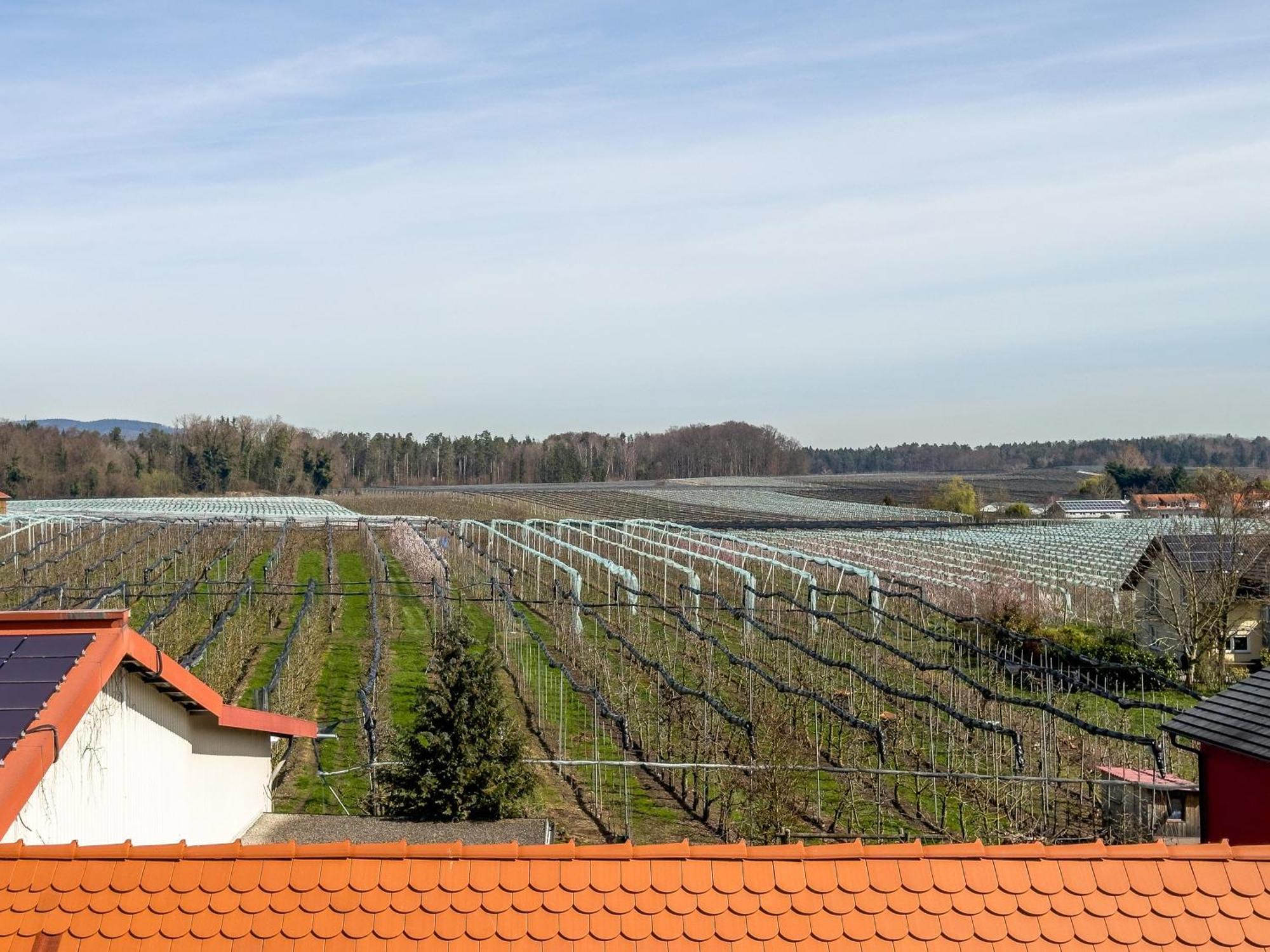 Obst- Ferienhof Ragg *